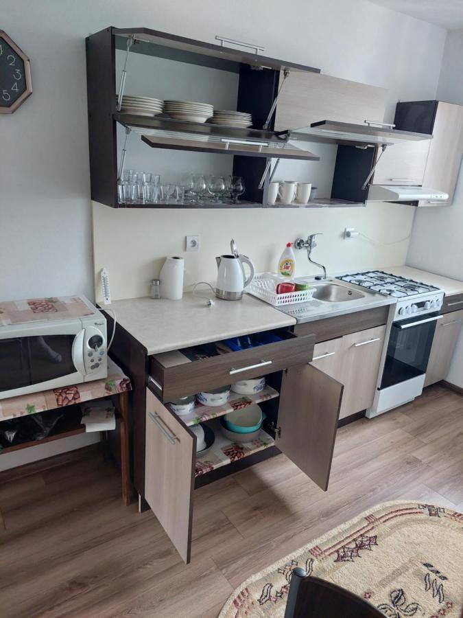 Vaclavskeho Apartment Medzilaborce Esterno foto
